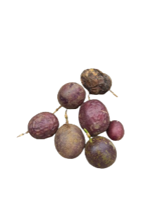Maracujá Roxo